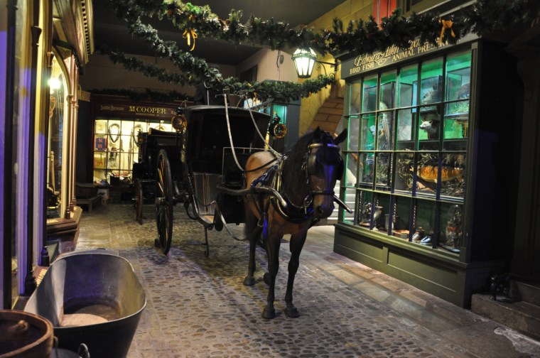 tumblr_mf9qnvxIxu1qapnuio5_1280