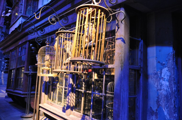 tumblr_mfye1leUA21qapnuio7_1280