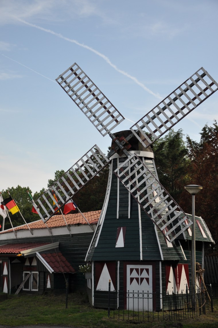 tumblr_msxcdl4Fr61qapnuio1_1280