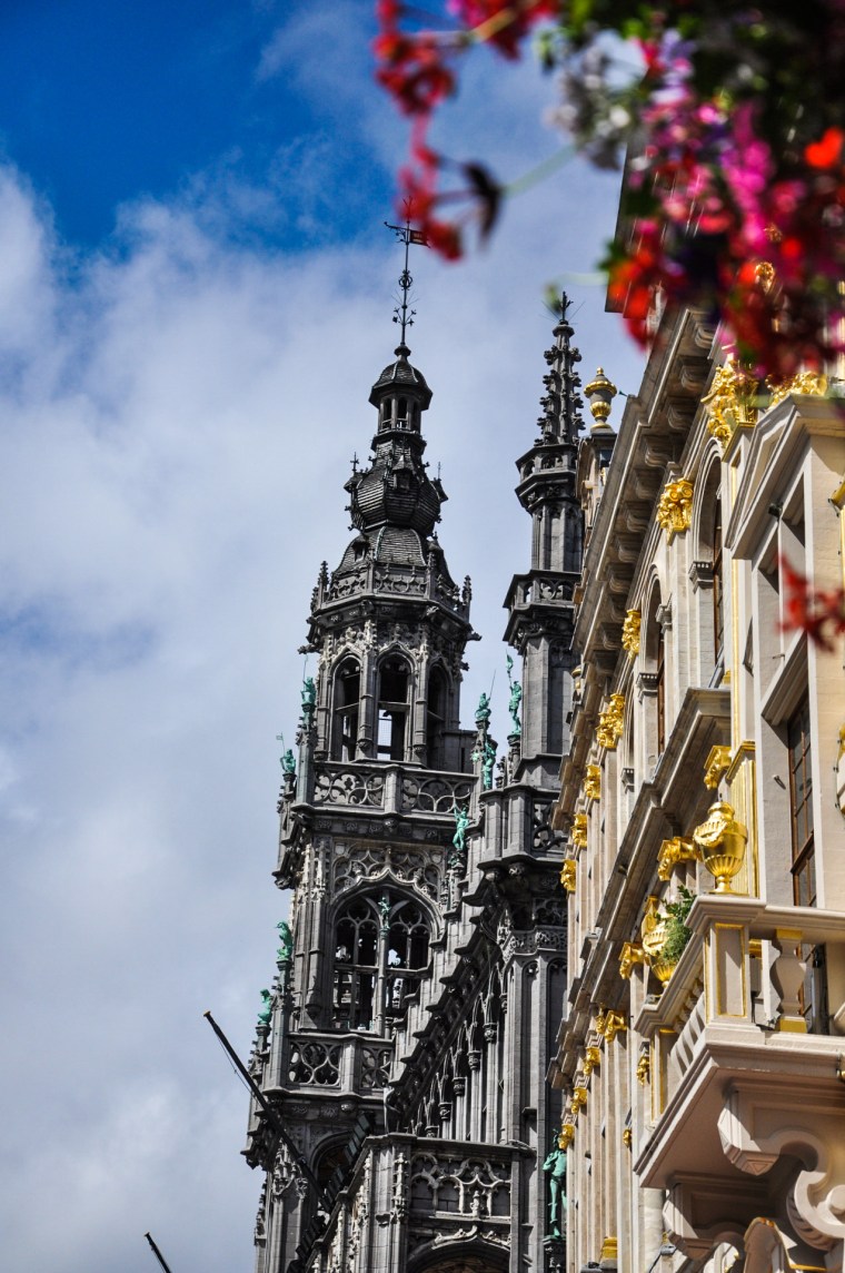 tumblr_msyfnxF65r1qapnuio1_1280_edited