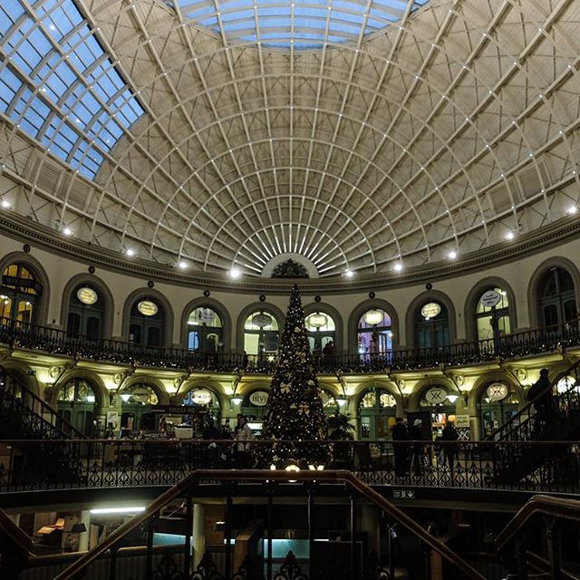 12407263_497897330389216_970131512_n